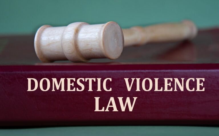 domestic violence law