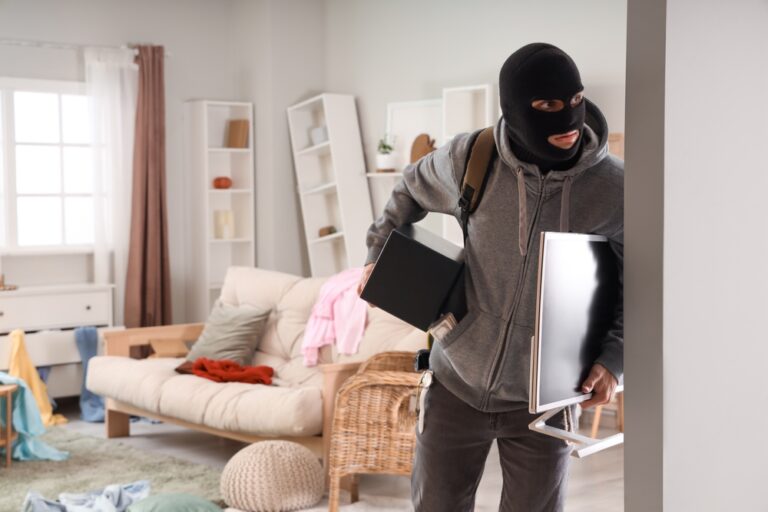 theft